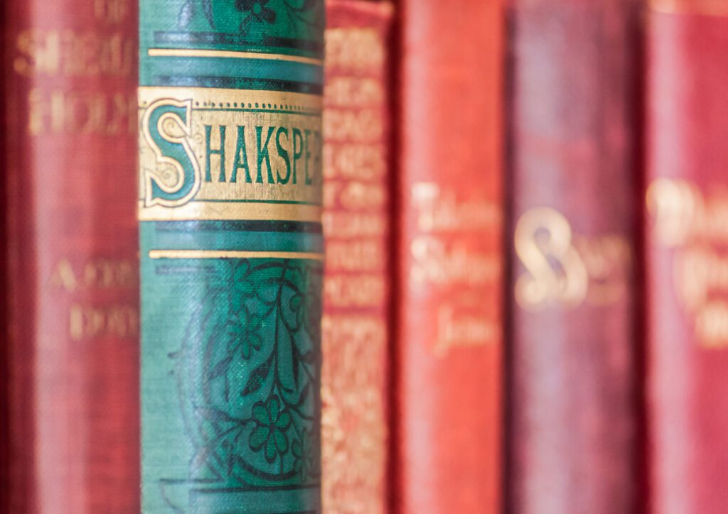 william shakespeare biography in afrikaans